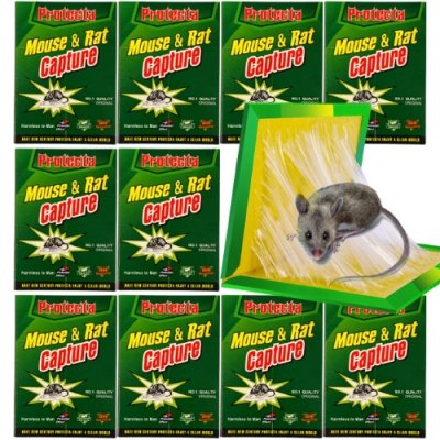 Myszołapka lep na myszy klej 20 sztuk
