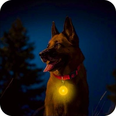 świecąca lampka led żółty lokalizator dla psa