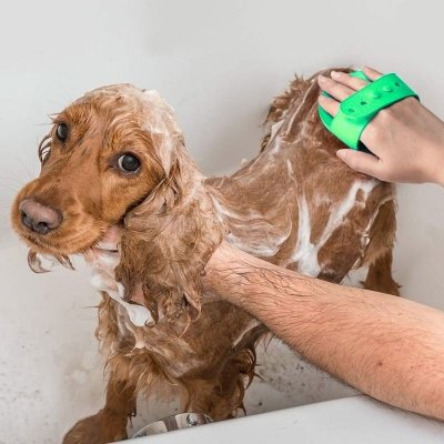 szczotka silikonowa do mycia zwierząt