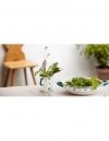 RIESS - Menzurka dzbanek 1l 10cm GMUNDNER Streublumen