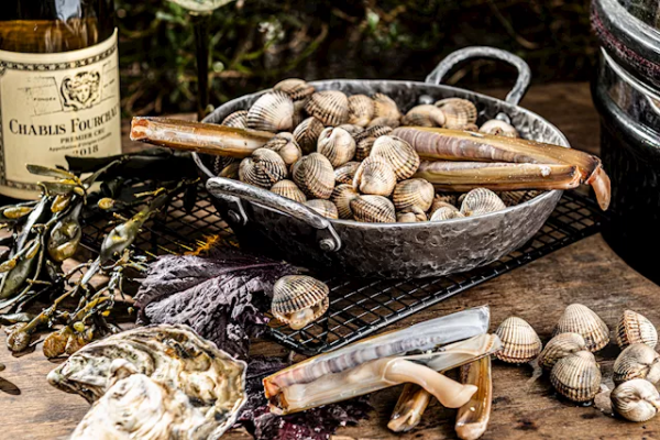 Forged Patelnia z dwoma uchwytami 20 cm