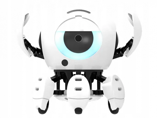 Bitsy - inteligentny robot dla dzieci