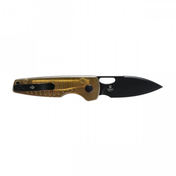 Nóż składany Kizer Parakeet V2706A1