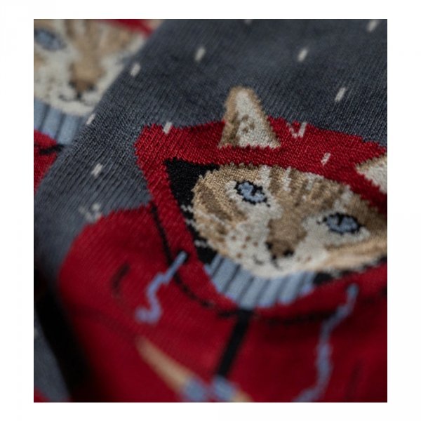 Skarpety Jimmy Lion RAINING CAT Grey