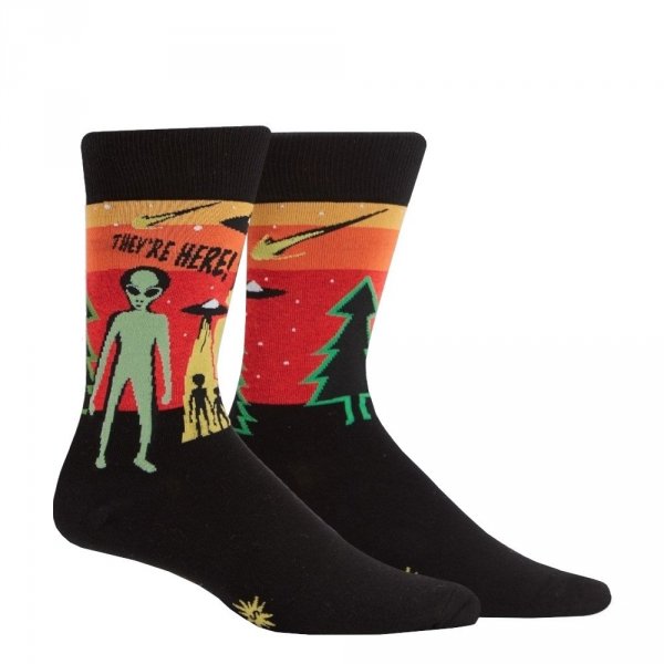 Skarpety męskie Sock It To Me They're Here MEF0385
