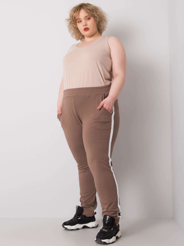 Spodnie dresowe-RV-DR-6643.95-brązowy rozmiar - 3XL