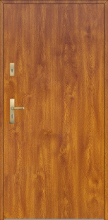 WIKĘD Drzwi Zewnętrzne Premium 54 mm grubości Wzór 1 Złoty Dąb 
