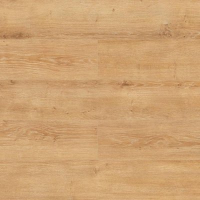 NOWOŚĆ Panele Podłogowe Dąb Cornfild 8 mm AC5 - Kronopol Kolekcja Modern Premium 4523