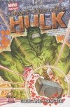 INDESTRUCTIBLE HULK VOL 02 GODS AND MONSTER HC [9780785168324] **OFERTA SPECJALNA**