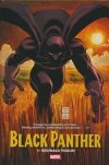 BLACK PANTHER BY REGINALD HUDLIN OMNIBUS HC [STANDARD] [9781302963484] **promocja TOMY**