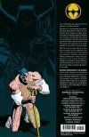 BATMAN KNIGHTQUEST THE SEARCH TP [9781401285012]