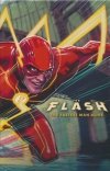 FLASH THE FASTEST MAN ALIVE THE FLASH THE FASTEST MAN ALIVE FLASHPOINT BATMAN THE 1989 MOVIE ADAPTATION SC [9781779523471]