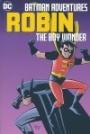 BATMAN ADVENTURES ROBIN THE BOY WONDER TP [9781779507235]