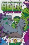 INCREDIBLE HULK BY PETER DAVID OMNIBUS VOL 02 HC [STANDARD] [9781302945336] **promocja TOMY**