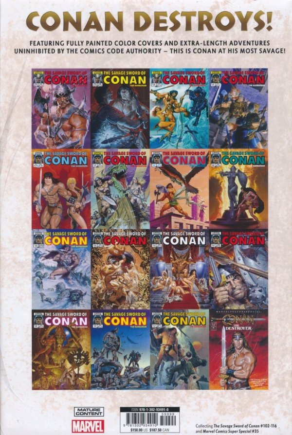 SAVAGE SWORD OF CONAN THE ORIGINAL MARVEL YEARS OMNIBUS VOL 08 HC [VARIANT] [9781302934910] **OFERTA SPECJALNA**