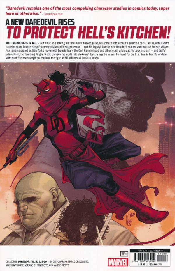 DAREDEVIL VOL 06 DOING TIME TP [9781302926090]