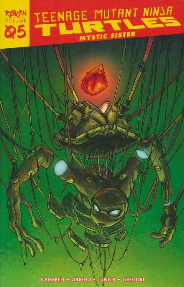TEENAGE MUTANT NINJA TURTLES REBORN VOL 05 MYSTIC SISTER TP [9781684059164]