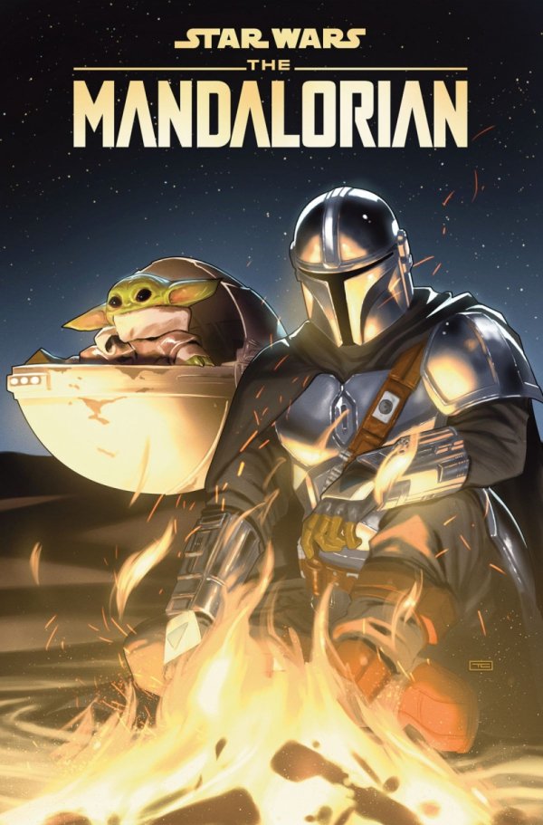 STAR WARS THE MANDALORIAN SEASONS ONE AND TWO TP [9781302966201]