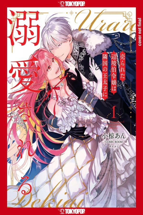 MARGRAVES DAUGHTER AND THE ENEMY PRINCE VOL 01 TP [9781427880604]