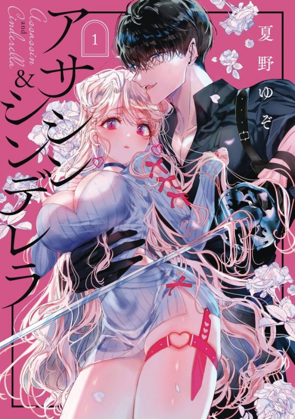 ASSASSIN AND CINDERELLA VOL 01 TP [9781646093496]