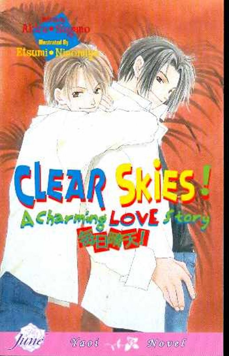 CLEAR SKIES A CHARMING LOVE STORY NOVEL [9781569705728]