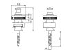 Blokowane zaczepy paska SCHALLER S-Locks L (GD)