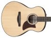 Gitara akustyczna IBANEZ AAM50-OPN