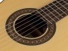 Gitara klasyczna 4/4 SALVADOR CORTEZ Lola S