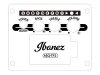 Gitara elektro-akustyczna IBANEZ AAM70CE-TBN