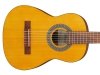Gitara klasyczna 1/2 IBANEZ GA1-OAM