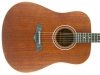 Gitara akustyczna ARROW Raw D (MH)