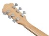 Gitara elektro-akustyczna IBANEZ AE170-NTR
