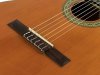Gitara klasyczna 4/4 SALVADOR CORTEZ Prima C