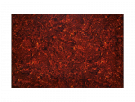 Materiał na pickguardy BOSTON PG-434 29x45 (TI)