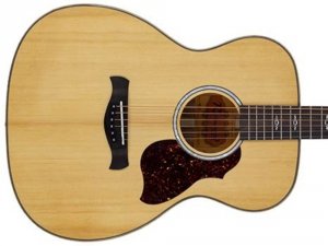 Gitara akustyczna RICHWOOD RA-27 (NT)