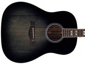 Gitara akustyczna RICHWOOD HSDS-42 (TBK)