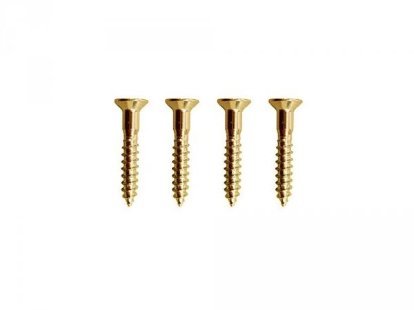 Wkręty mocowania mostków Tele GOTOH WS-09 (GD)