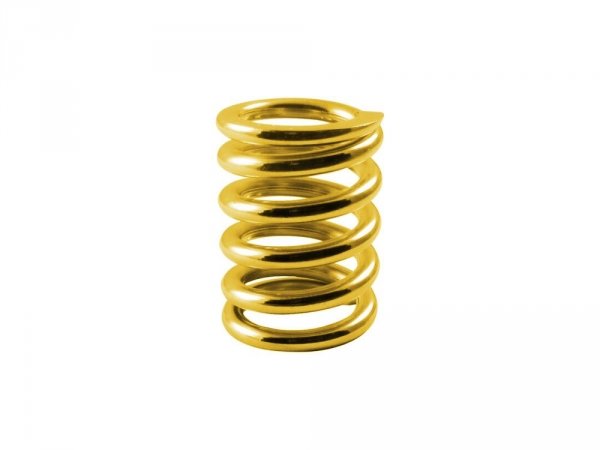 Sprezyna mostka BIGSBY 1&quot; Gold 0495-1975G