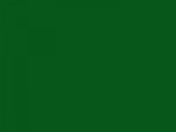 Lakier celulozowy DARTFORDS (British Racing Green)