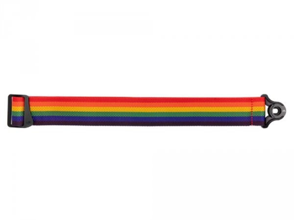 Pasek gitarowy D'ADDARIO Poly Auto Lock Rainbow