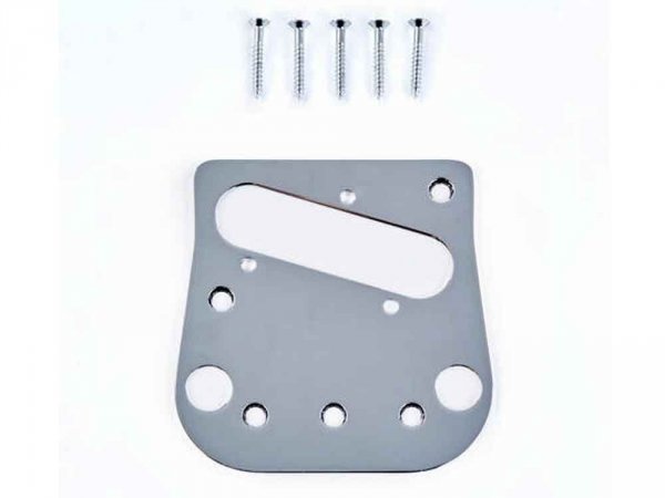 BIGSBY Tele plate 0495-0257 (SS)