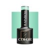 OCHO NAILS Lakier hybrydowy rainbow R10 -5 g