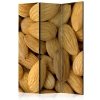 Parawan 3-częściowy - Tasty almonds [Room Dividers]