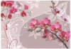 Fototapeta - Lot różowych orchidei