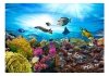 Fototapeta - Rafa koralowa