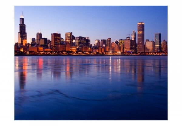 Fototapeta - Icy Downtown Chicago