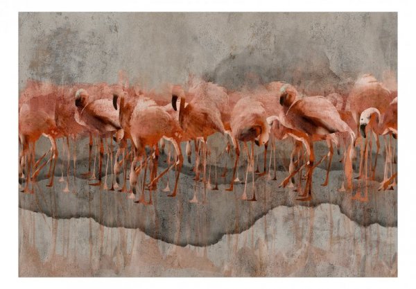 Fototapeta - Jezioro flamingów