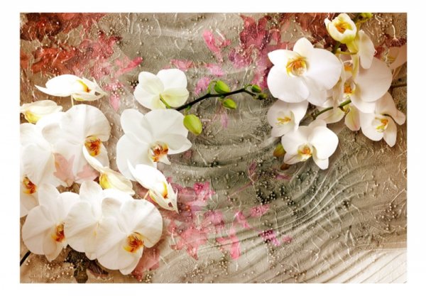 Fototapeta - Pustynna orchidea