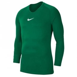 Koszulka Nike Y Park First Layer AV2611 302 zielony XL (158-170cm)