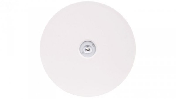 Oprawa awaryjna AXN IP65 ECO LED 1W 125lm (opt. otwarta) 1h jednozadaniowa AT biała AXNO/1W/E/1/SE/AT/WH